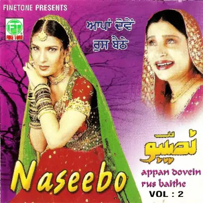 Tenu Bhul Gaye Yaar
