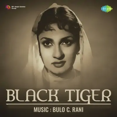 Parwana Kehta Kya Afsana
