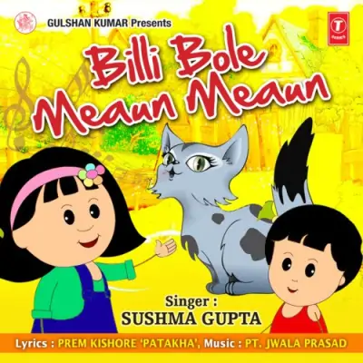 Shekhchilli Dilli Mein Aaya