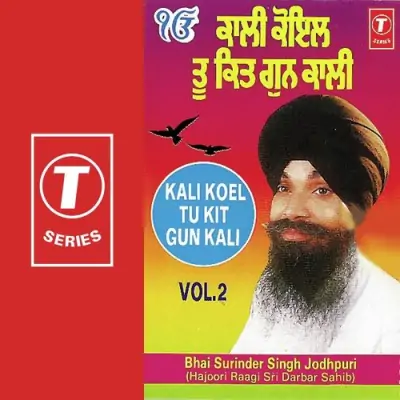 Mat Dekh Bula Veesre