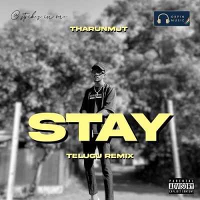 Stay Remix