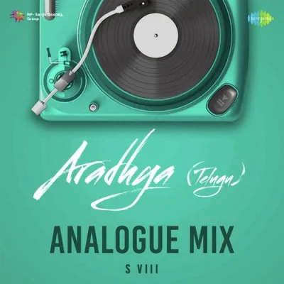 Aradhya Analogue Mix