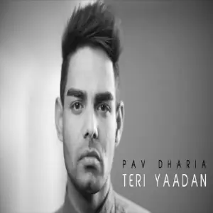 Teri Yaadan