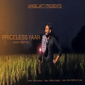 Priceless Yaar