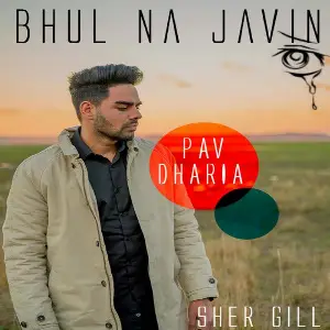 Bhul Na Javin (Cover)