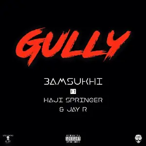 Gully