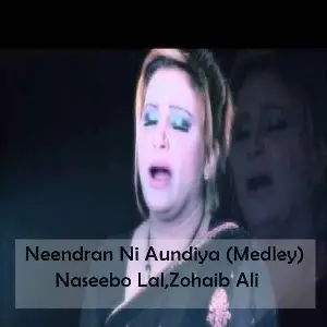 Neendran Ni Aundiya (Medley)