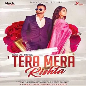 Tera Mera Rishta