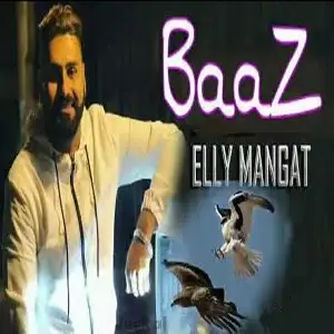 Baaz
