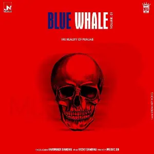 Blue Whale