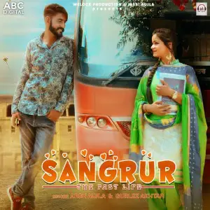 Sangrur The Past Life