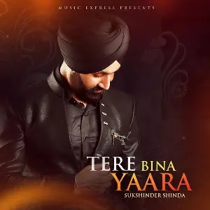 Tere Bina Yaara