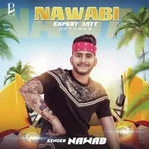 Nawabi Expert Jatt Returns