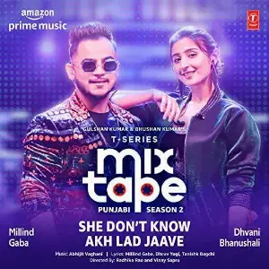 She Dont Know-Akh Lad Jaave (T-Series Mixtape Punjabi Season 2)
