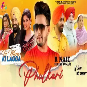 Phulkari (Tu Mera Ki Lagda)