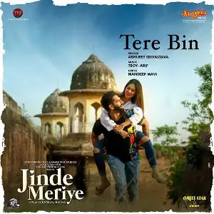 Tere Bin (Jinde Meriye)