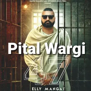 Pital Wargi