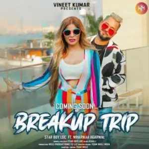 Breakup Trip