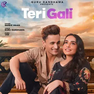 Teri Gali