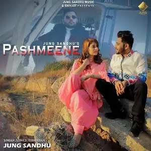 Pashmeene