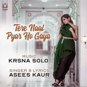 Tere Naal Pyar Ho Gaya