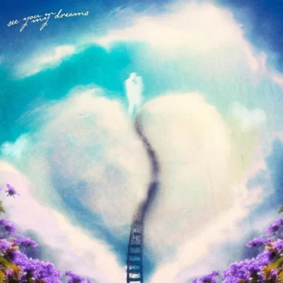 See You In My Dreams