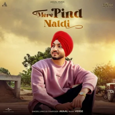 Mere Pind Naldi