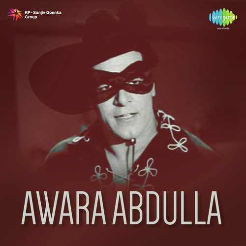 Hum Hai Awara To Kya Hai