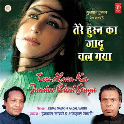 Tere Husn Ka Jadoo Chal Gaya