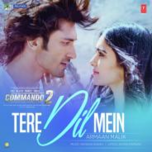 Tere Dil Mein (Commando 2)