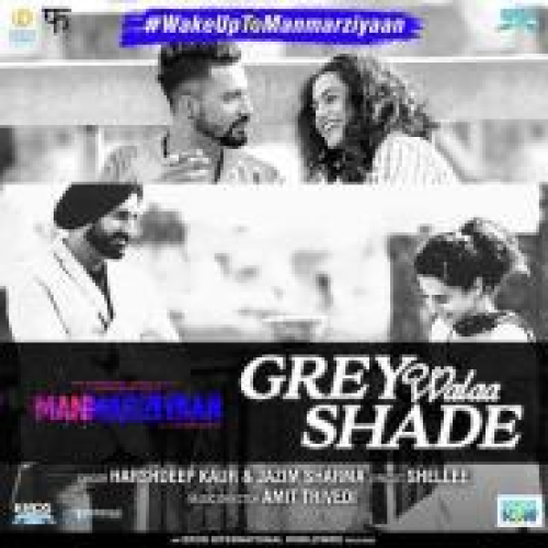 Grey Walaa Shade (Manmarziyaan)