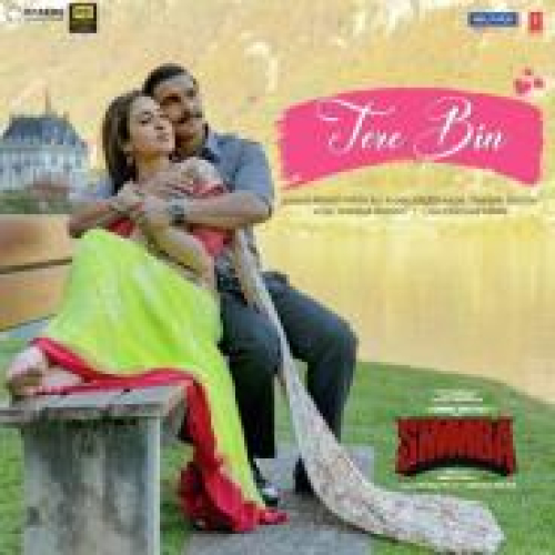 Tere Bin (Simmba)