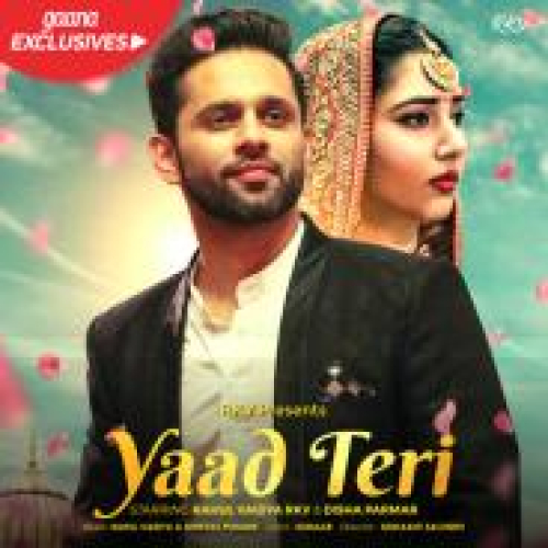 Yaad Teri