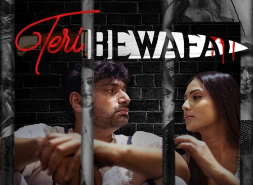Teri Bewafai 