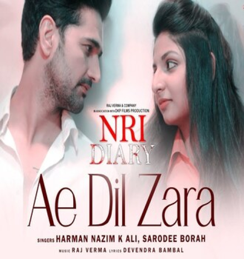 Ae Dil Zara (NRI Diary)