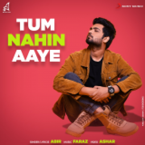 Tum Nahin Aaye