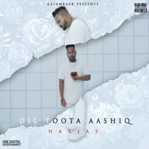 Toota Dil (Dil Toota Aashiq)