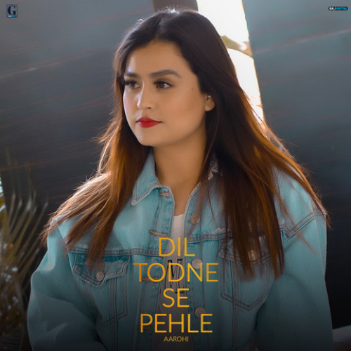 Dil Todne Se Pehle (Cover)