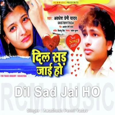 Dil Sad Jai Ho