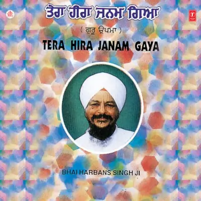 Tera Heera Janam Gaya Vol 35 (1995) Mp3 Songs