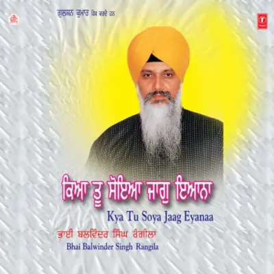 Kya Tu Soya Jaag Eyanaa Vol 85 (2005) Mp3 Songs