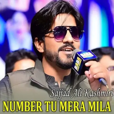 Number Tu Mera Mila (2025) Mp3 Songs