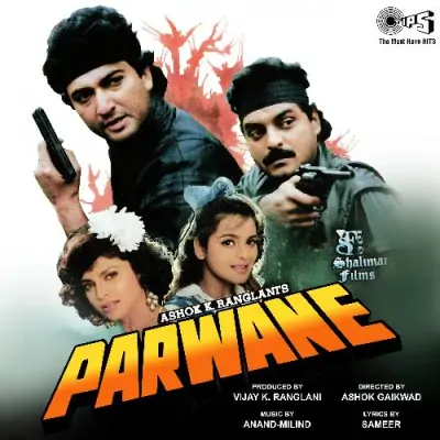 Parwane (1993) Mp3 Songs