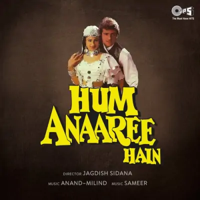 Hum Anaaree Hain (1993) Mp3 Songs