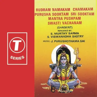 Rudram Namakam Chamakam Purusha Sooktam Sri Sooktam Mantra Pushpam Swati Vachanam (1995) Mp3 Songs